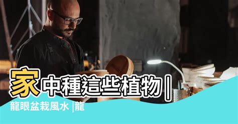 家中種樹